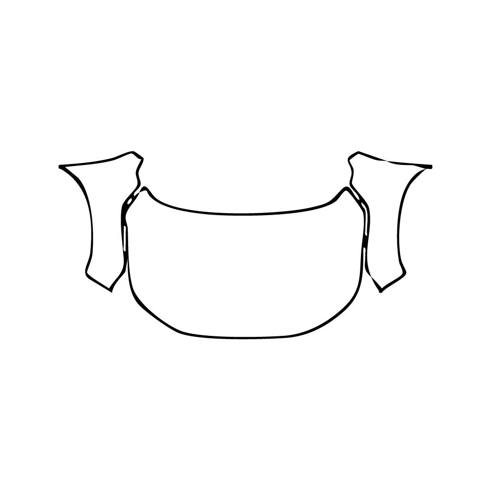 Voorgesneden PPF Honda Elevate (IN) ZX 2025