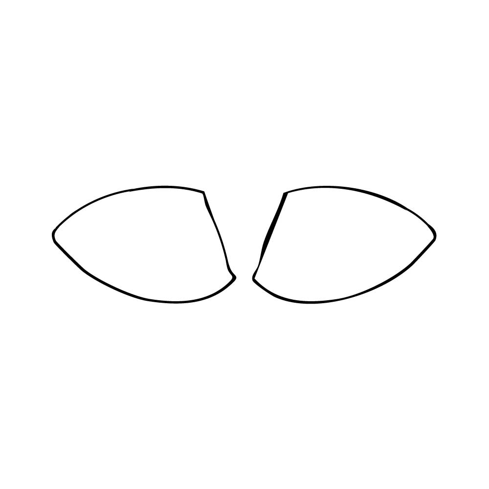 Voorgesneden PPF Honda Elevate (IN) ZX 2025