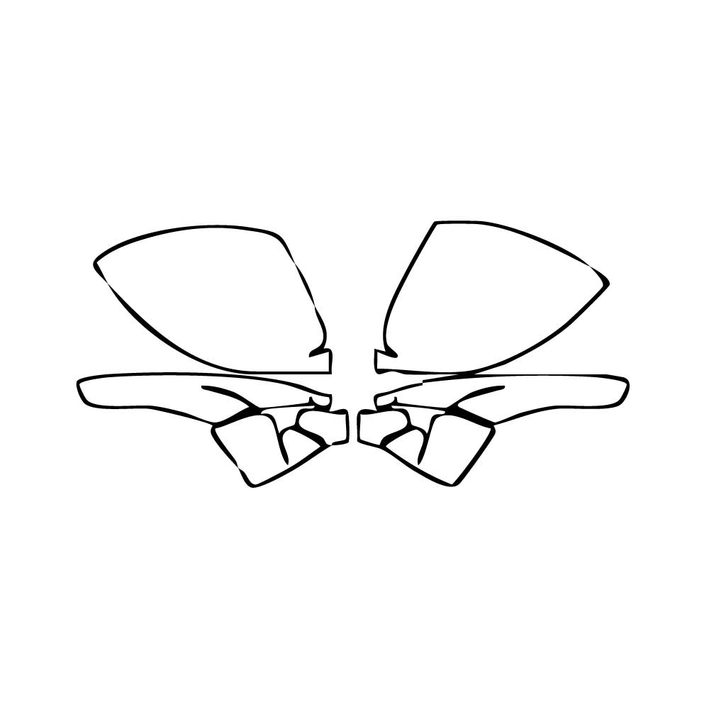 Voorgesneden PPF Porsche 718 Cayman Cayman GT4RS 2025