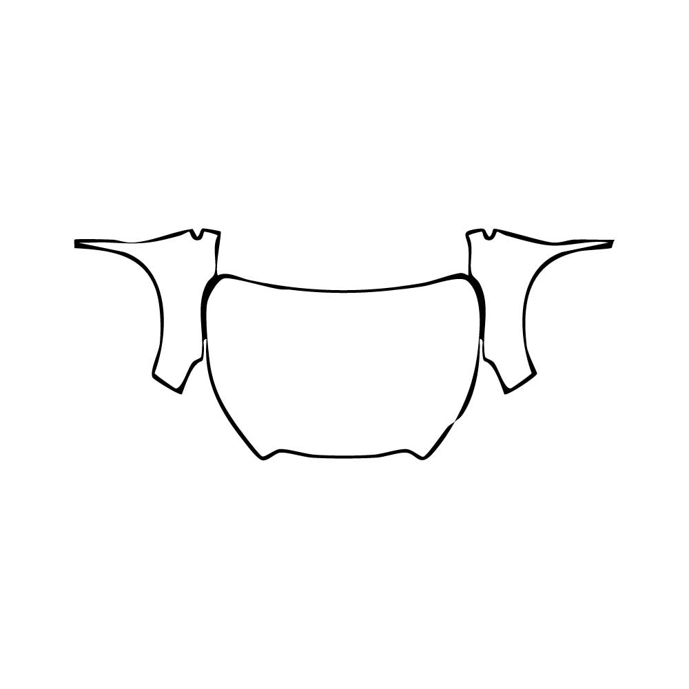 Voorgesneden PPF Subaru Ascent (US) Onyx Edition 2025