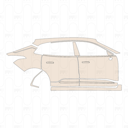 Voorgesneden PPF Zeekr 001 2022